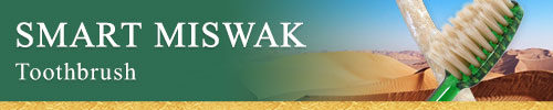 SMART MISWAK website